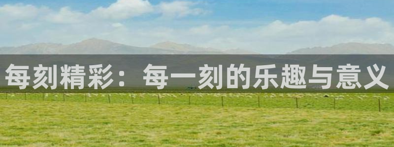杏鑫娱乐：每刻精彩：每一刻的乐趣与意义