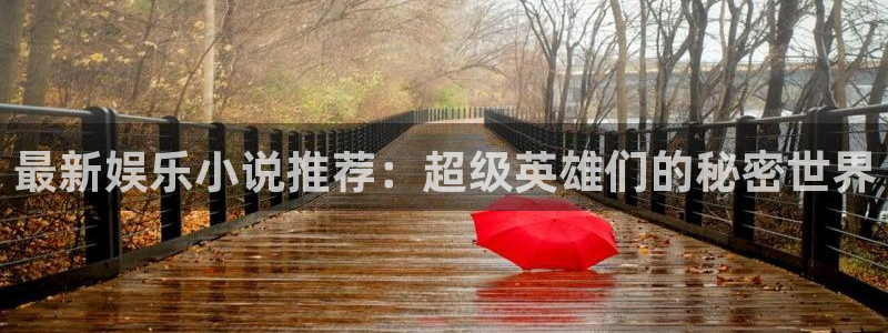 杏鑫娱乐：最新娱乐小说推荐：超级英雄们的秘密世界
