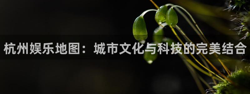 杏鑫娱乐：杭州娱乐地图：城市文化与科技的完美结合