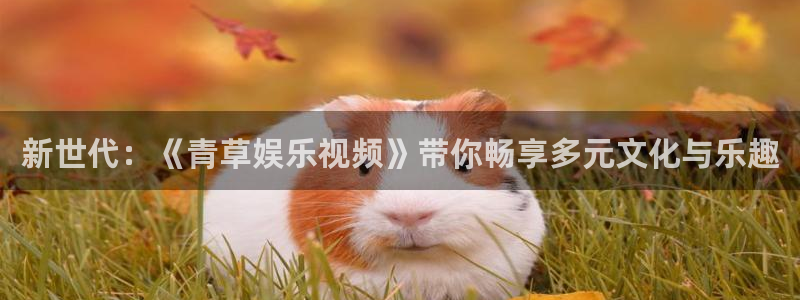 杏鑫娱乐：新世代：《青草娱乐视频》带你畅享多元文化与乐趣