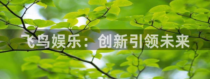 杏鑫娱乐：飞鸟娱乐：创新引领未来