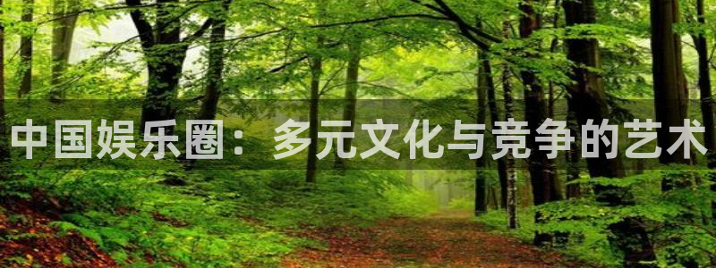杏鑫娱乐：中国娱乐圈：多元文化与竞争的艺术