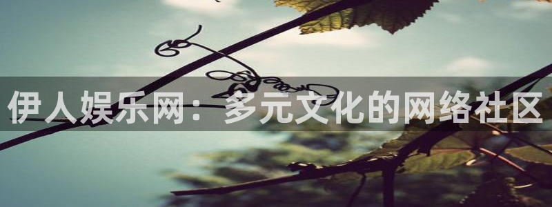 杏鑫娱乐：伊人娱乐网：多元文化的网络社区